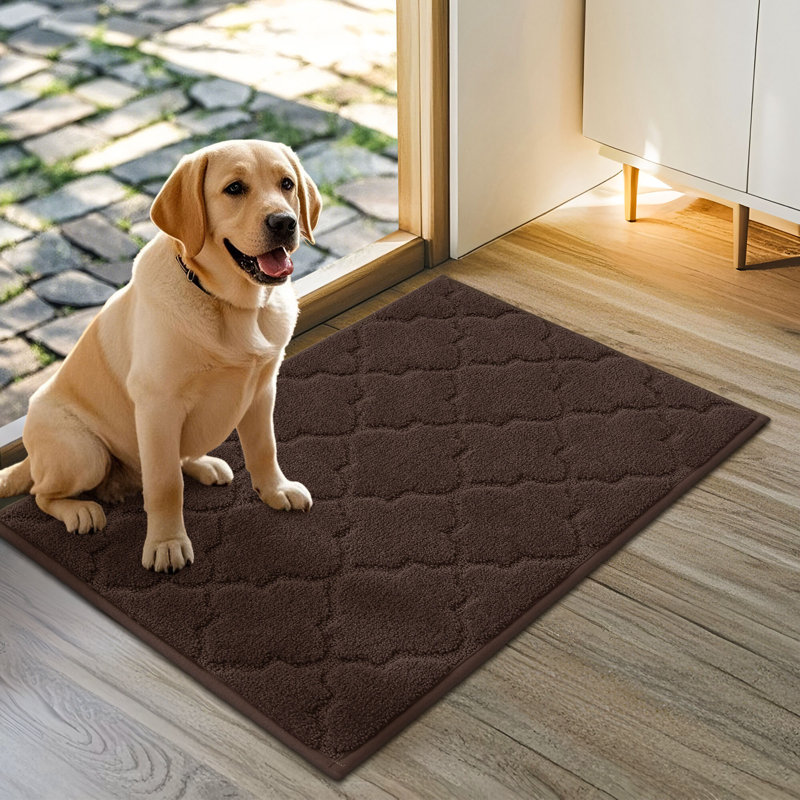 Monfield Non-Slip Outdoor Doormat, 24" W x 36" L, Brown