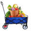 Chariot de plage pliant Wagon Garden (bleu)-117353899-117353901