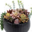 Artificial Plant