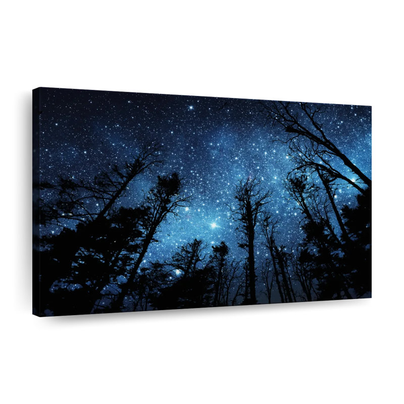 «Forest Night Sky», reproduction sur toile, H 8 po x l 12 po x P 1 po