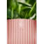 Pot Planter-69444361-69444373