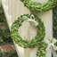 Preserved Boxwood Wreath