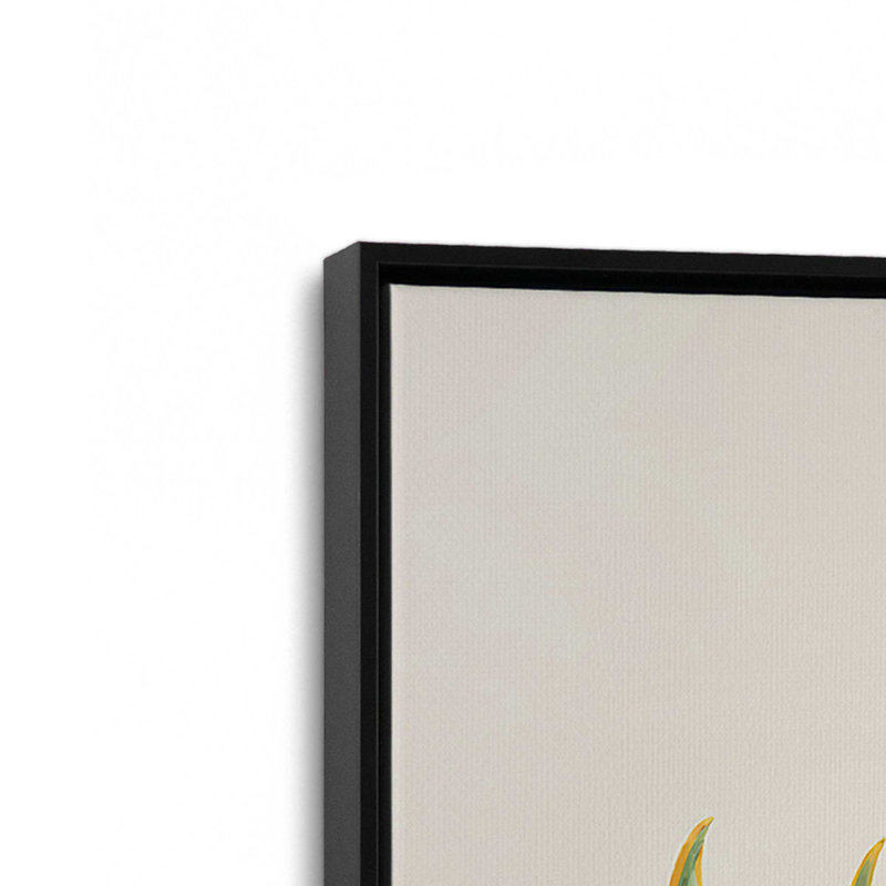 Impression sur toile Disco Strawberry dans un cadre, H 18,75 po x l 12,75 po, Noir satiné