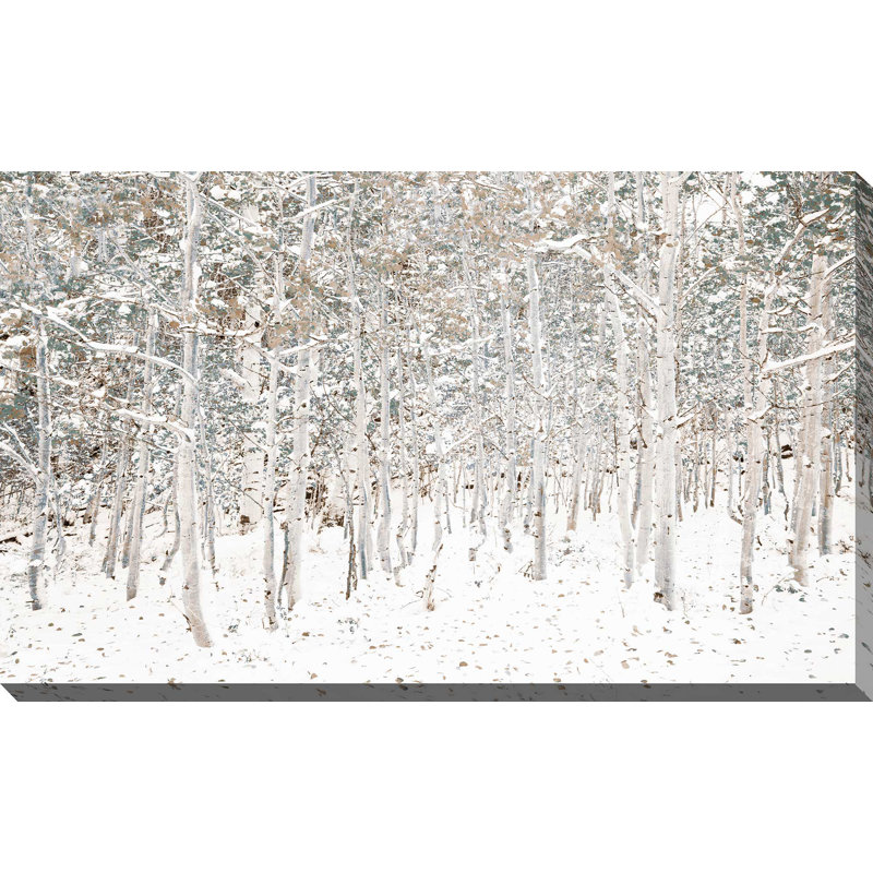 " White Snow Wonderland ", 28" H x 48" W x 1.5" D