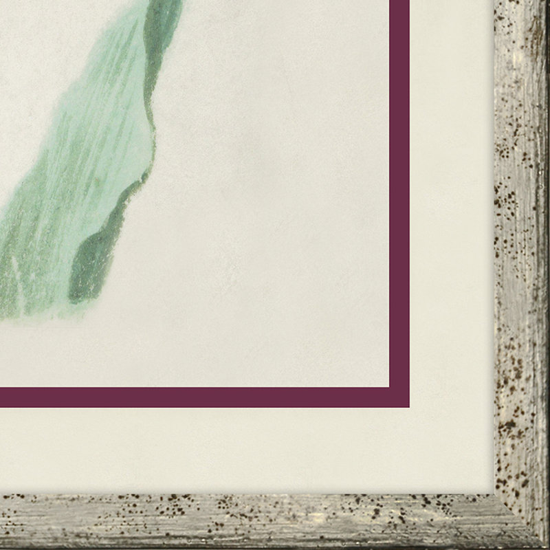 «Flower, Seashell and Insect VI», reproduction d'art sur papier encadré