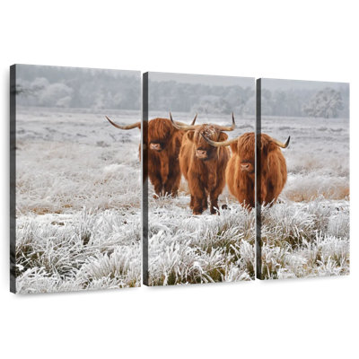 Brampt trio de vaches Highland