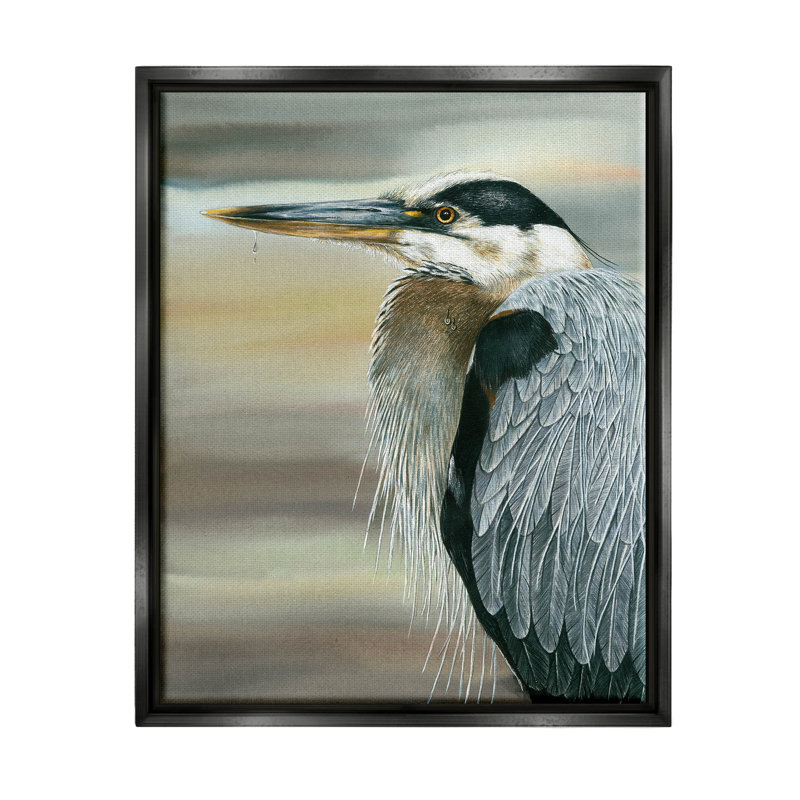Heron, plume d'oiseau - cadre flottant, impression sur toile, Cadre flottant noir de jais, H 21 po x l 17 po x P 1,7 po
