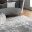 Deedra Modern Abstract Power Loom Performance Gray/White Rug-1615092020
