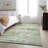 Premium Machine Washable Prisco Green Rug-1186352963