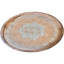 Copper / Copper Plated Decorative Tray
