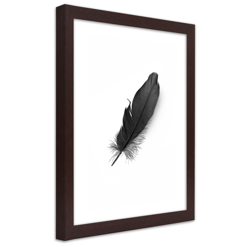 Black Feather Nature 1 Piece Single Picture Frame Wall Art, 100cm H x 70cm W, Brown