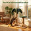 Poteau à griffer pour chat, poteau à griffer pour chat en sisal avec jouets interactifs pour chats d'intérieur
