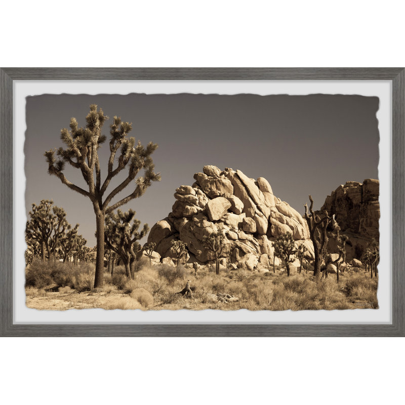 Cactus And Rocks - Single Picture Frame Print, 20cm H x 30cm W x 3.81cm D