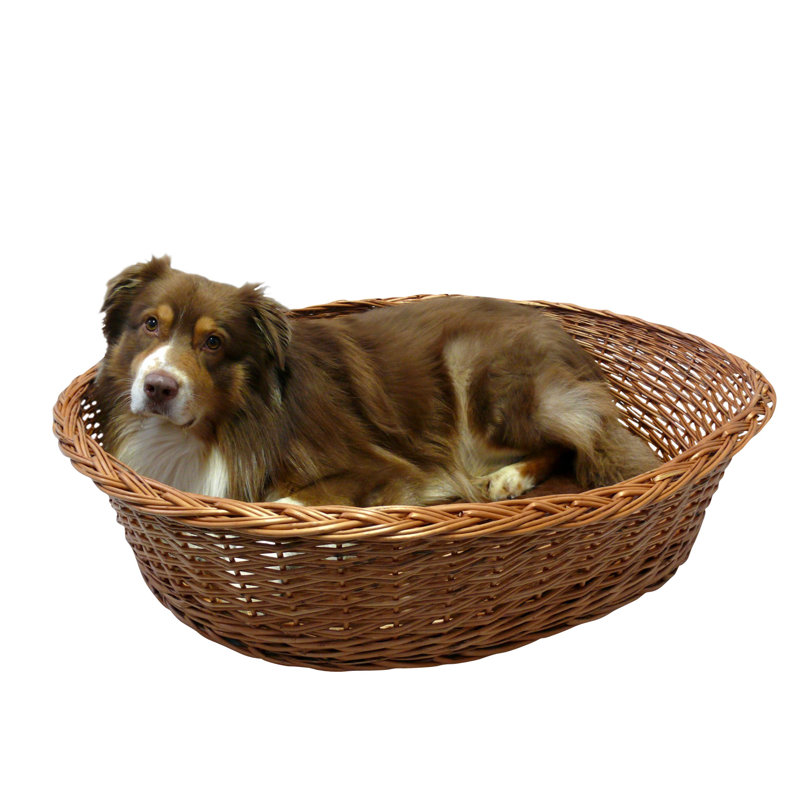 Dykstra Wicker Pet Bed, 20cm H x 70cm W x 51cm D