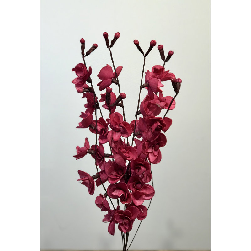 Branches d'orchidée Shola, 20 pouces, vin (lot de 7)