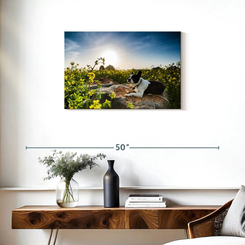 Brampt Meadow Dog, 20'' H x 30'' W