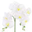 Tige de fleur d'orchidée artificielle-861308355