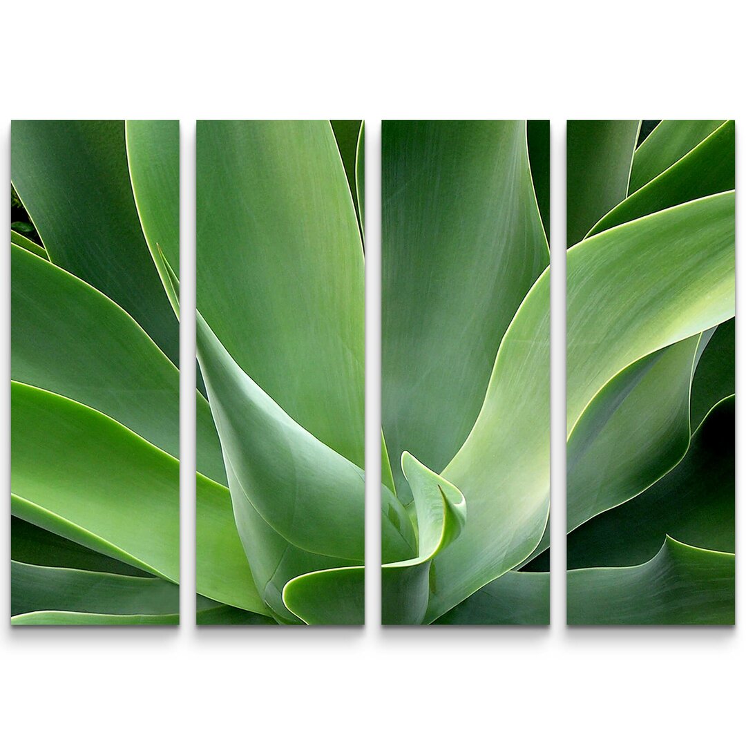 4-tlg. Leinwandbilder-Set Agave