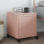 Preslei 36cm W Steel Bedside Table-1634564699-1642976642