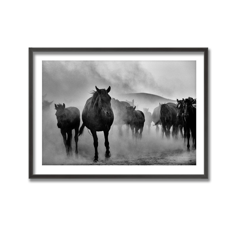 Nature Inspired Untitled by  - Picture Frame Photograph on Paper, 24" H x 36" W 