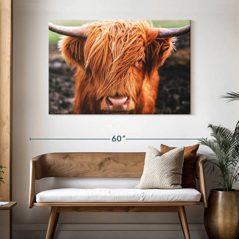 Frange Brampt Highland Cow, H 32 po x l 48 po