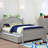 Deegan Kids with Trundle-189220385-189220384