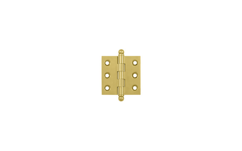 Hinge, PVD Polished Brass