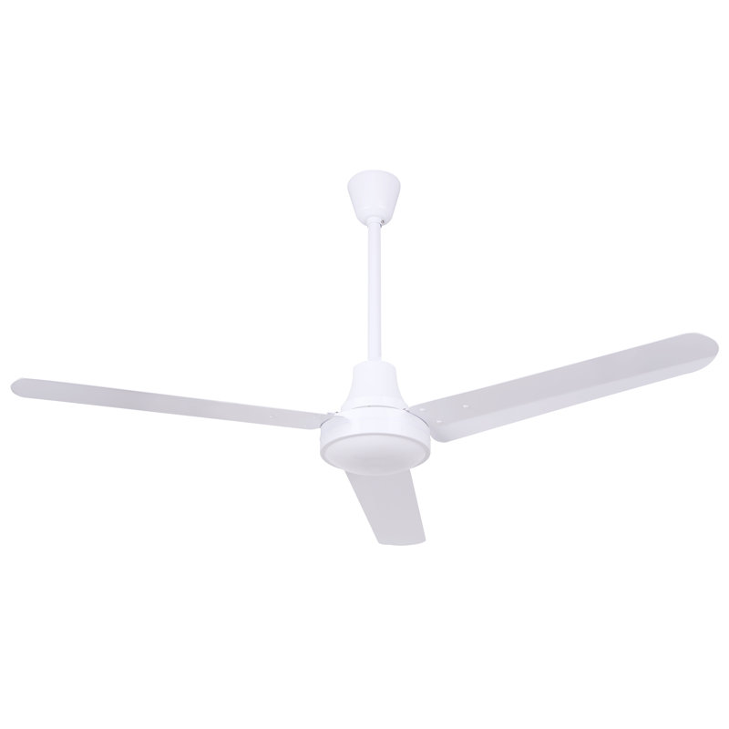 Haute performance DC Udoh, Blanc, 60"