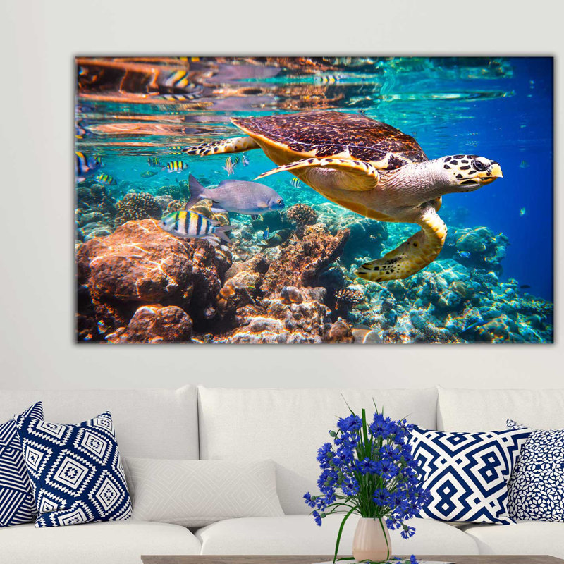 «Seashells», reproduction de photo sur toile tendue, H 36 po x l 60 po x P 1,5 po