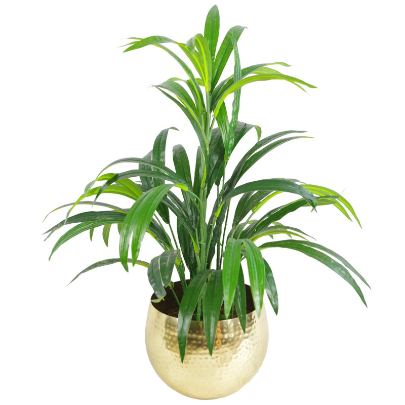 Sevyn Handmade Metal Cachepot, Gold, 18cm H x 22cm W x 22cm D