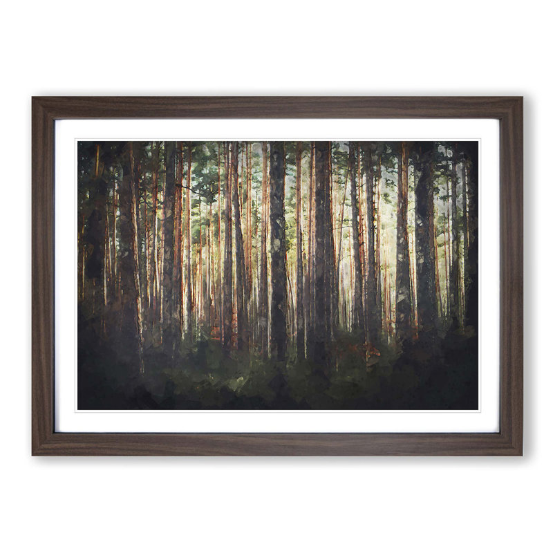 Pine Tree Forest in Spring - Picture Frame Graphic Art Print on MDF, Walnut Framed, 36cm H x 48cm W x 2cm D