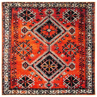 Daemyn Performance Oriental Rug
