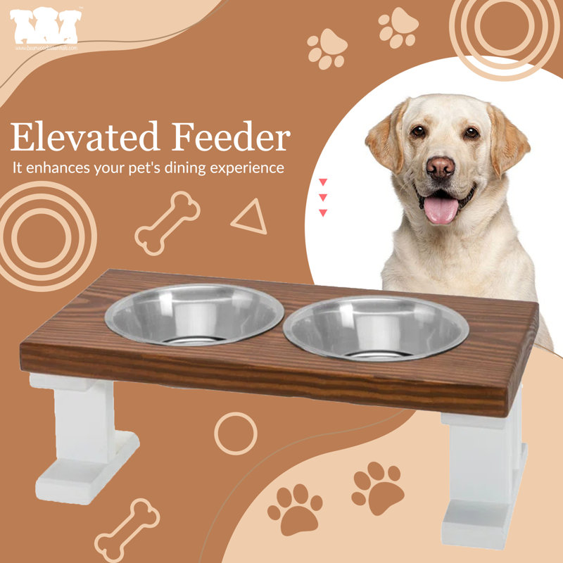 Chestnut and White Elevated Stainless Steel Pet Feeder, 8 Inch