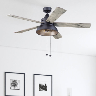 Brightondale 52" Ceiling Fan with Lights
