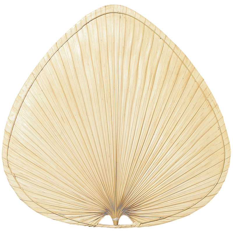 Ventilateur de plafond d'intérieur avec pales Islander, 22 po / naturel