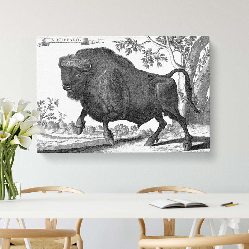 Buffalo by Thomas Astley - Wrapped Canvas Drawing - Wrapped Canvas, 35cm H x 50cm W x 3cm D