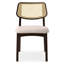 Modern Brazilian - Beth - Cane Side Chair - Medley Ivory Seat - Nogal Frame - Nogal Cane Webbing-1468277082