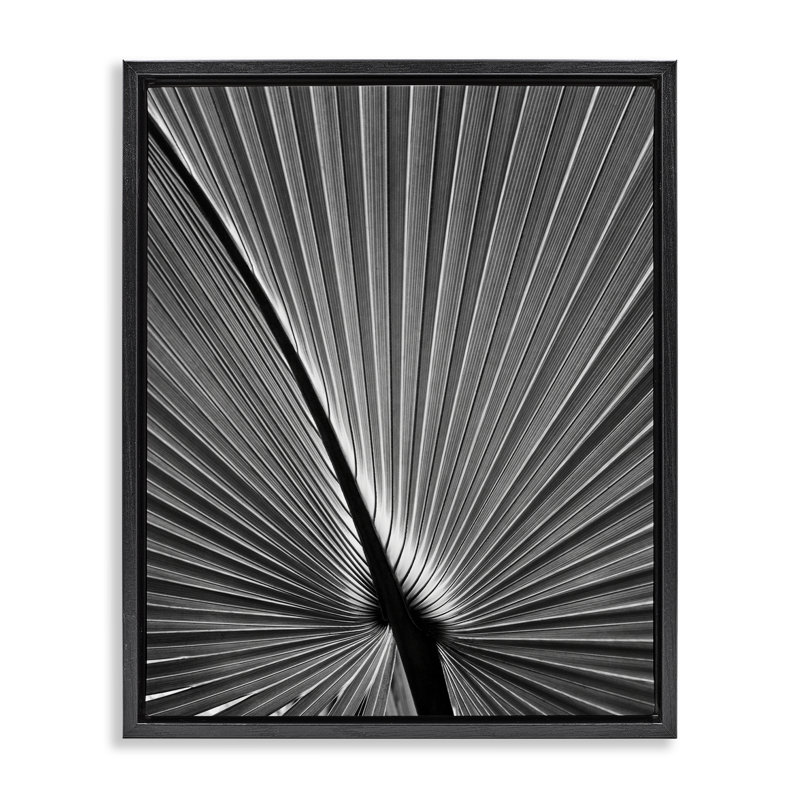"Floater" par Chip Forelli, H 21 po x l 17 po, Cadre flottant noir de jais
