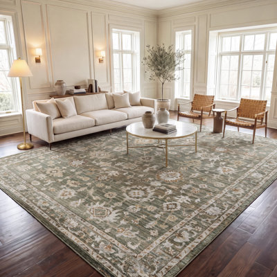Hazel 504 Performance Oriental Rug