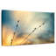 Herbes d'automne-1570186256