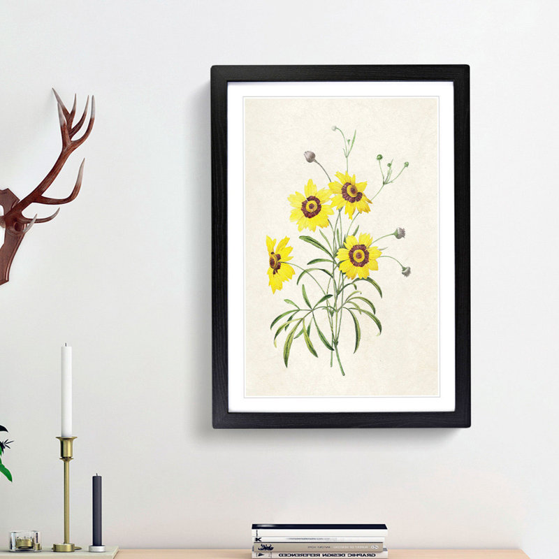 Yellow Tickseed Flowers by Pierre-Joseph Redoute - Picture Frame Painting Print, 65cm H x 48cm W x 2cm D, Black Framed