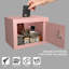 Coffre-fort de sécurité à clé, coffre-fort compact de 0,23 pied cube, idéal pour la maison, pour ranger de l'argent et des documents, rose-119704629