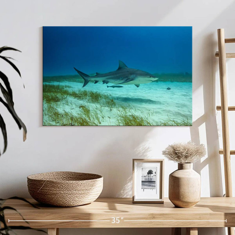 Crowle Bull Shark Habitat, H 16 po x l 24 po