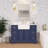 Emiliano 48'' Single Bathroom Vanity with Top-1034018940-1040471135