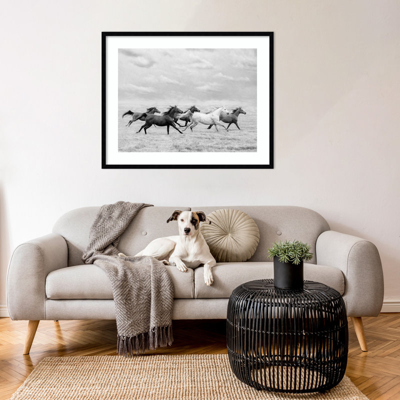 Horse Run I by PHBurchett, 27" H x 33" W, Black