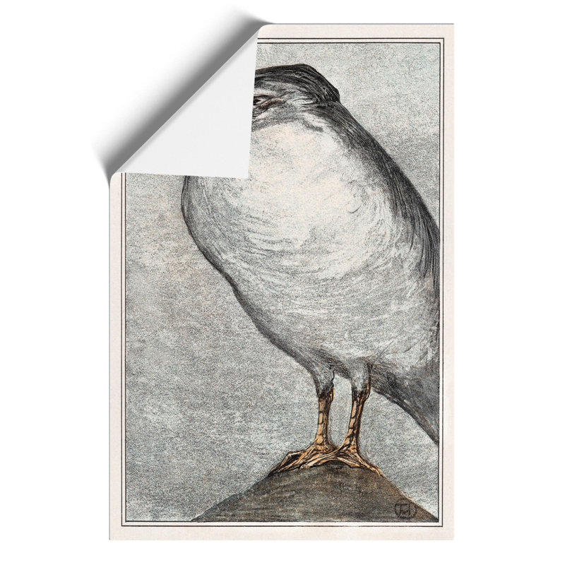 Herring Gull - No Frame Print, 42cm H x 30cm W x 0.1cm D
