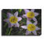 Winston Porter «Flowers Iii» par Epic Portfolio, art mural en métal-1444648448
