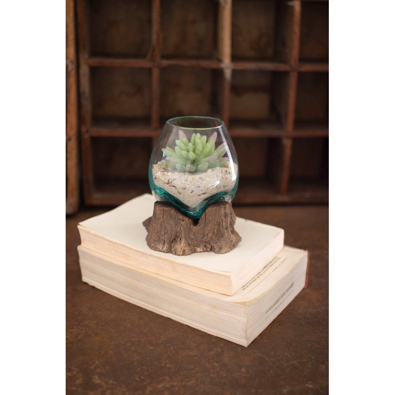 Petit bol en verre soufflé Kalalou avec base en bois flotté naturel - H 5,5 po