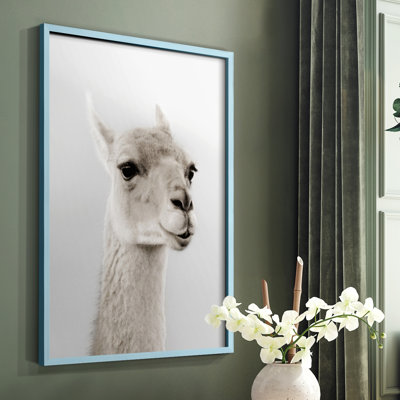Soft Llama Framed Print - Solid Wood
