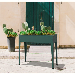Jardinière surélevée en métal galvanisé Herstera